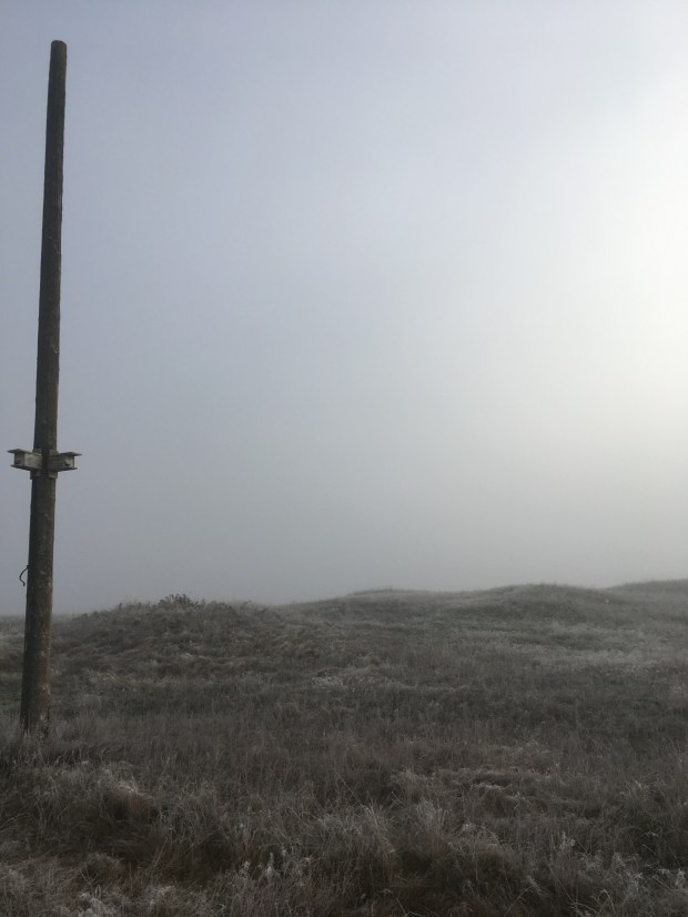 Two birdhouse structures are attached high up on a tall wooden pole that is erected on a mounded, frosty grassland. The grass is brown from winter and the sky is foggy.
