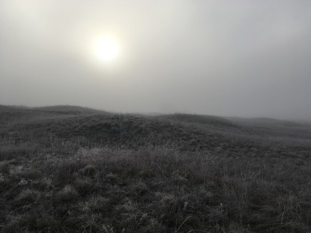 The sun lightly shines through the foggy sky above a frosty winter-brown mounded grassland 