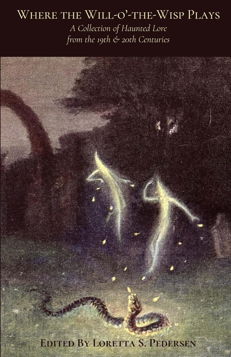 Front cover image for Where the Will o' the Wisp Plays